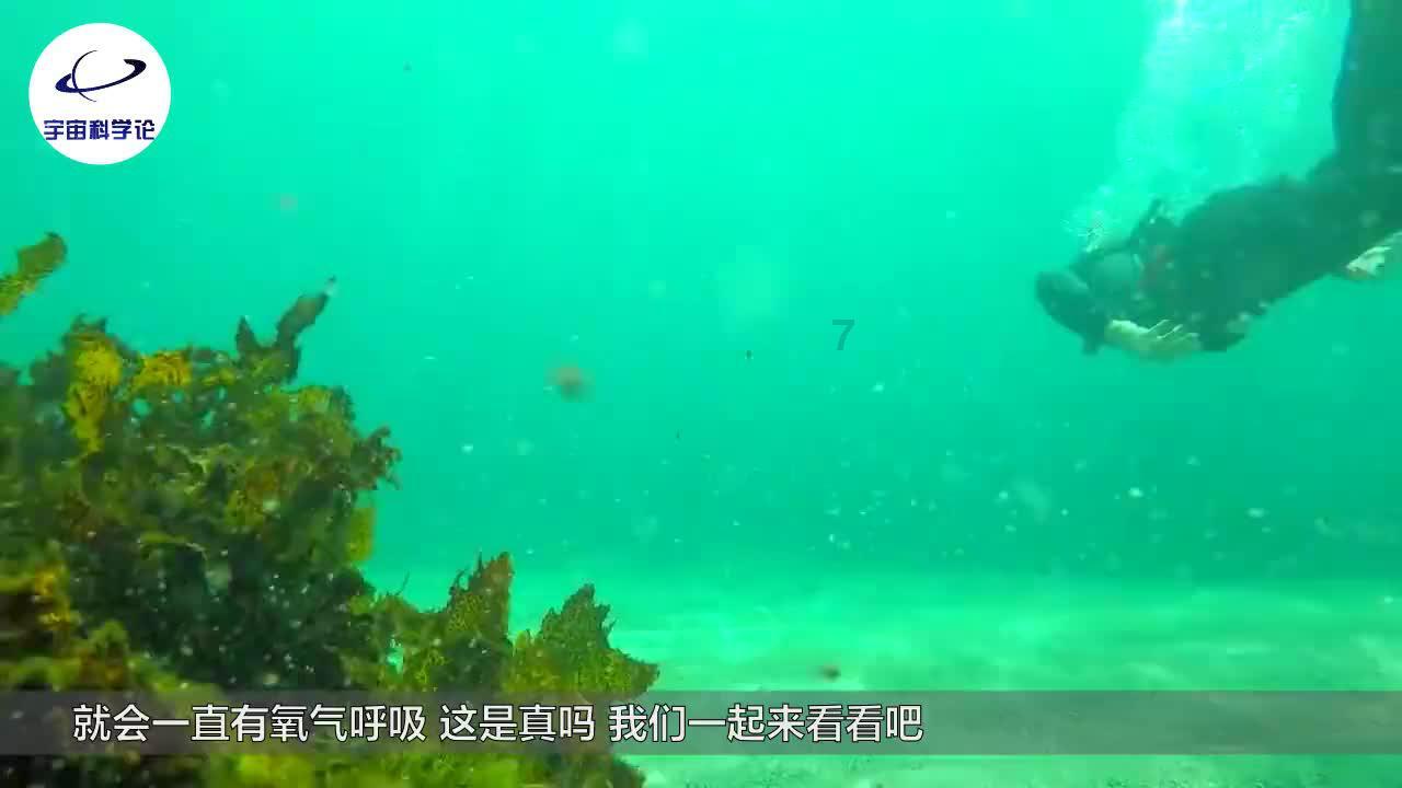 石油骚动