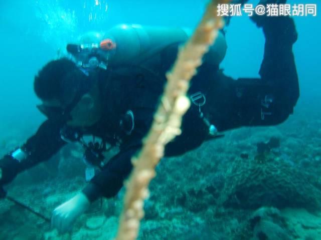 用一些气球捆成6个一束，如果有剩余，可能会剩几只气球，如果剩余3只气球，气球总数可能是多少只？游戏画面