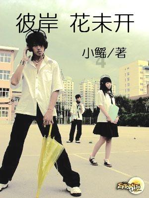 20只短中长期均为正收益的主动权益基金,四季度转配了什么?